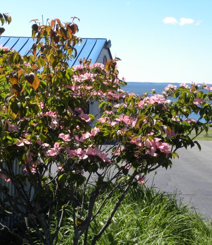 Colonial Gables Grounds