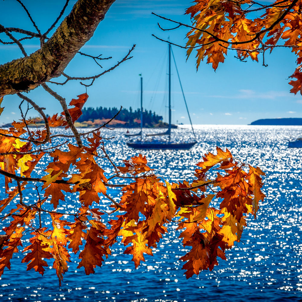 Coastal Maine